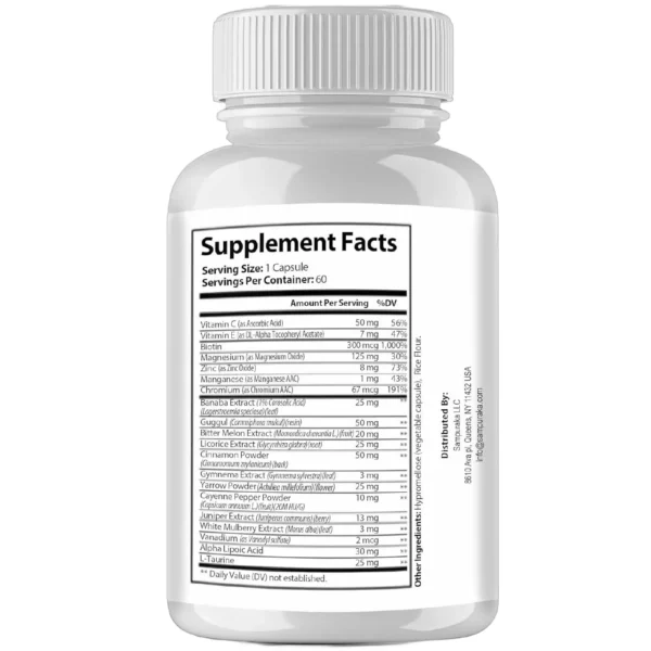 Gluco6 Advanced Formula, 1 Pack, 30-Day Supply, Supports Blood Sugar Levels - Image 4