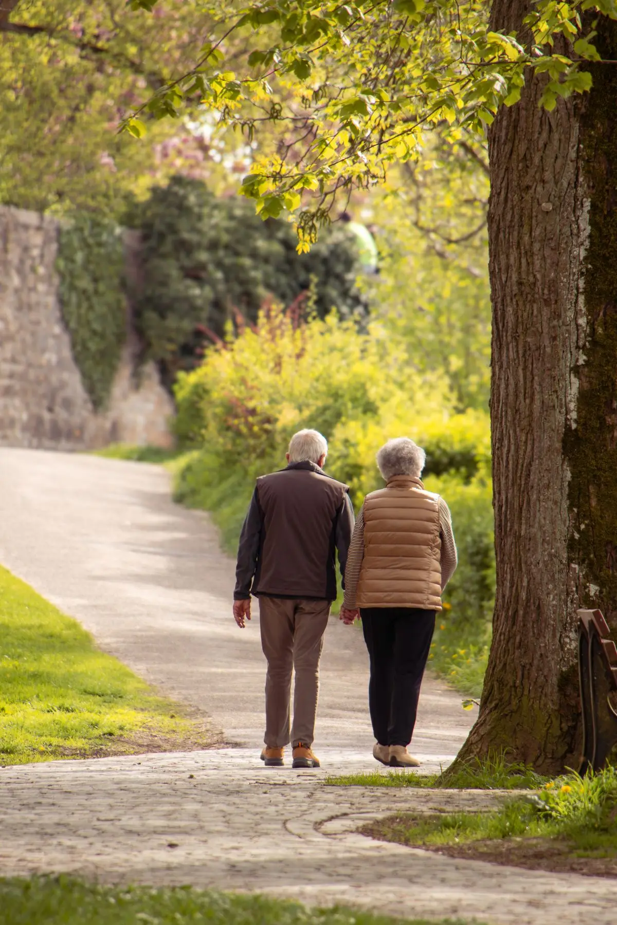 Striction BP Reviews: Does This Blood Pressure Supplement Work? 4 Active older couple walking, supporting heart health